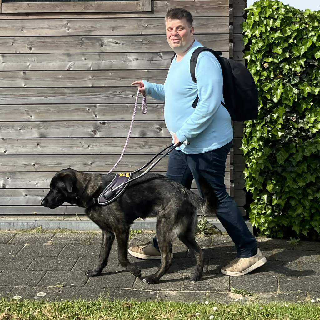 Foto van Ferry die loopt met zijn geleidehond in tuig.